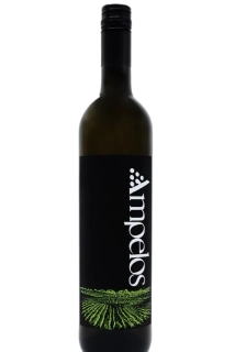 Chardonnay 2023 polosuché 0,75l | Ampelos